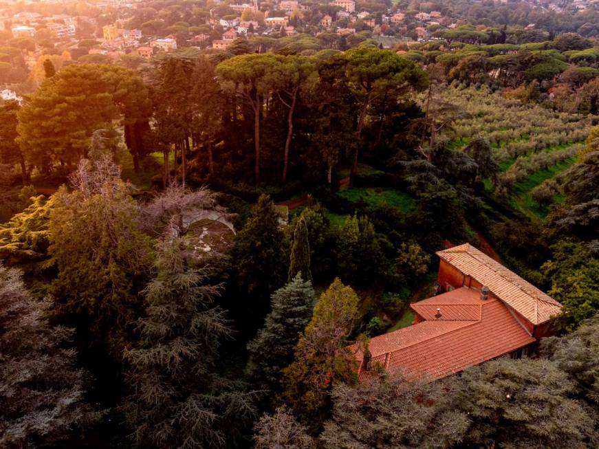 Oleoturismo ai Castelli Romani: apre il ‘Villino Rosso - Museo dell’Olio’