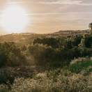 Mangia's Academy, al via a Sciacca l'ottava edizione