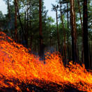 Emergenza in agenzia per gli incendi a Rodi