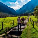 AmaWaterwaysposticipa le crocierein Colombia