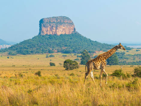 La rinascita dell’Africa: protagonista dell’anno