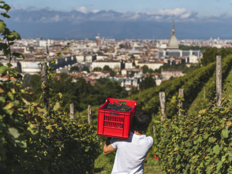 Le Figaro: lo ‘spot’ per Torino sul giornale d’Oltralpe