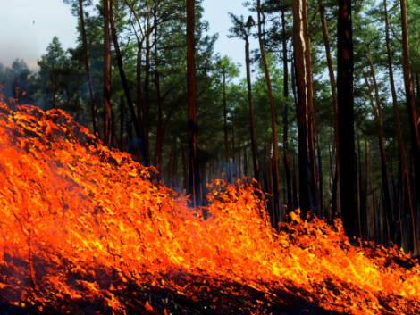 Incendi a Rodi, Tui proroga fino all'11 agosto lo stop alle vacanze nel Sud dell'isola