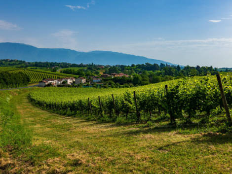 Il Veneto vara un bando da 4,2 milioni per il turismo