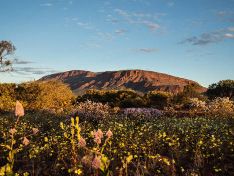 Il Western Australia dei record si promuove in Italia