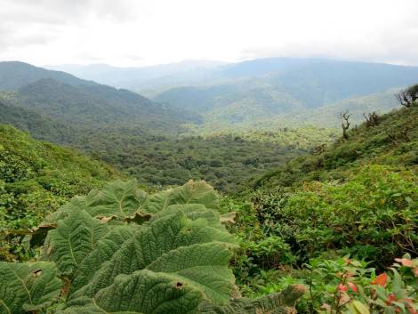 Costa Rica, la nuova strategia promozionale nasce con l’AI