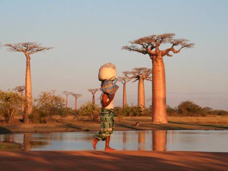 La nuova Africasotto la lente dei t.o.