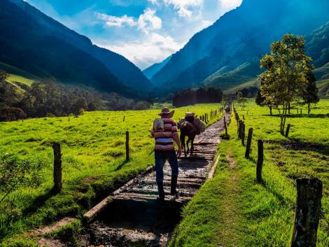 AmaWaterwaysposticipa le crocierein Colombia