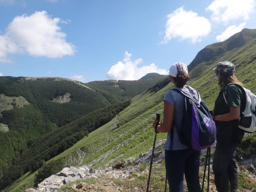 Basilicata, in viaggio per passione. Il 18 e 19 novembre appuntamento a Matera con Roots-In 2024