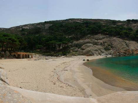 Isola di Montecristo: aperto il calendario delle visite