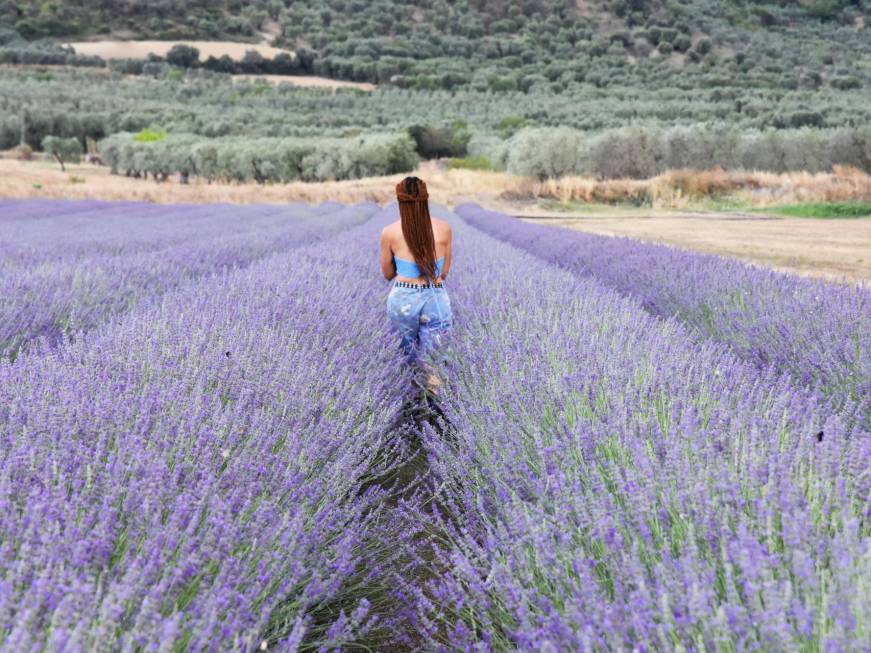 Basilicata, in viaggio per passione. Il 18 e 19 novembre appuntamento a Matera con Roots-In 2024