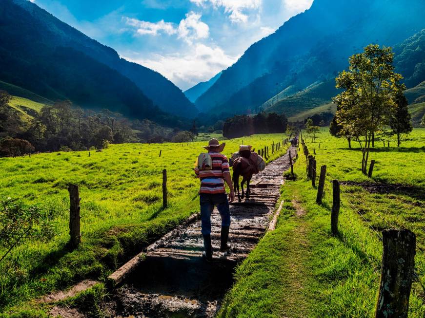 AmaWaterwaysposticipa le crocierein Colombia